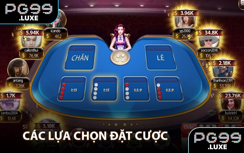 Các lựa chọn đặt cược